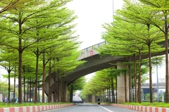 组图：春末夏初的河内美景让人迷醉