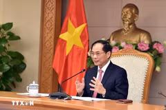 越南政府副总理兼外交部长裴青山。图自越通社
