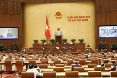 第十四国会第十次会议：参加联合国维和力量有助于提高越南的地位和威望