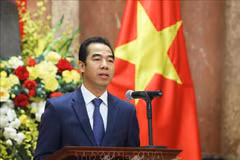 越南与联合国安理会：联合国安理会就疫情和安全问题举行公开辩论