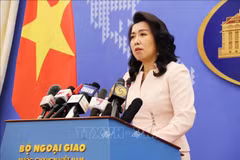 未经越南准许在黄沙和长沙群岛开展的各项活动都是无效的