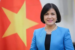 越南促进与日内瓦国际人道主义排雷中心和伙伴国的合作