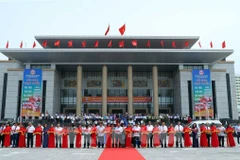 北江省举行荔枝产销对接视频会议