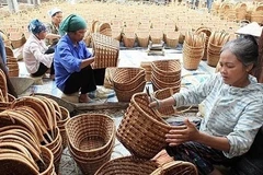 职业培训助力新农村建设