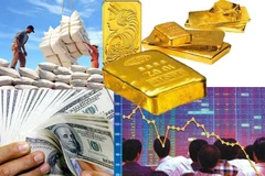 2020年越南经济发展前景与对策