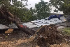 第12号台风致2人死亡 多地遭受财产损失