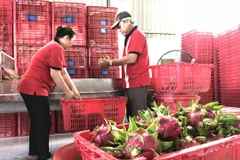 越南-中国（上海）水果制品线上会议吸引双方约40家企业参加