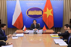 越南与波兰外交部副部长级政治磋商以视频形式举行