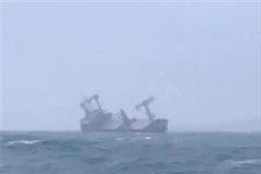 巴拿马籍货轮在平顺省富贵岛附近沉没事故：已找到10名船员
