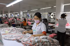胡志明市协助企业加大生产力度