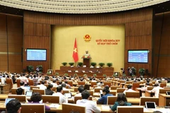 越南第十四届国会第九次会议：讨论两部法案