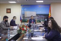 越俄在新形势下推动经贸合作向更高水平迈进
