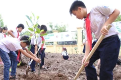 越南胡志明市致力让所有儿童都能生活在绿色清洁安全环境中