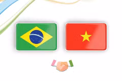 越南—巴西全面伙伴关系