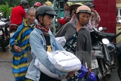 广治省红十字会向环境污染灾区渔民捐赠大米