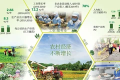 图表新闻：越南农村经济不断增长