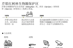 图表新闻：芹耶红树林生物圈保护区