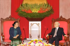 越老两党对外部密切配合加强合作