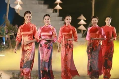 胡志明市奥戴节热闹上演