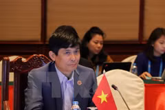 越南常驻东盟代表团团长阮横年（图片来源：越通社）