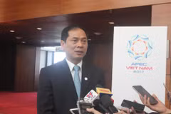 越南外交部常务副部长裴青山接受记者采访。（图片来源：因特网）