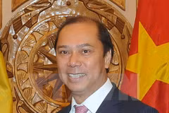 越南外交部副部长阮国勇