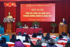 越共中央政治局委员、中央书记处常务书记丁世兄出席并发表讲话（图片来源：越通社） 