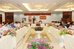 越共中央总书记发表讲话。（图片来源：越通社）