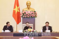 阮氏金银发表讲话。