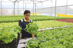 越企投资美国农业领域的机遇