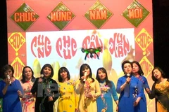 旅居捷克越南人举办迎春文艺表演活动（图片来源：越通社）