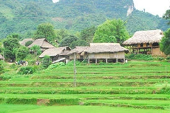 莱州省风景