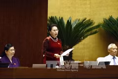 越南国会主席阮氏金银。