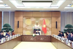 国会主席陈青敏会见东盟各国和东帝汶驻越大使和临时代办。图自越通社