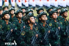 原印度驻越南大使馆国防武官高度评价越南人民族在国家发展事业中的作用