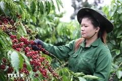 资料图。图自越通社