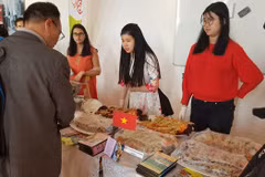 日内瓦“亚洲风味”节中的越南烙印