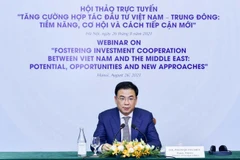 加强越南和中东地区之间的投资与合作