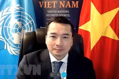 越南与联合国安理会：通过有关利比亚局势的两份决议并就防止大规模杀伤性武器进行讨论