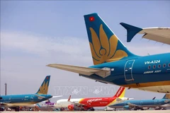 越南航空局提议增加国内航班班次 12月起正常运行