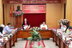 国会代表和各级人民议会代表换届选举：阮氏金银视察坚江省换届选举工作