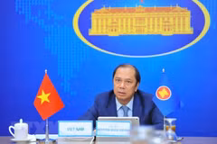 核查第54届东盟外长会和相关会议的准备工作 