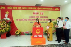 越南大多数地区选民投票率较高