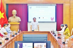 文化体育与旅游部领导以视频方式与越南2020年残奥会代表团会面