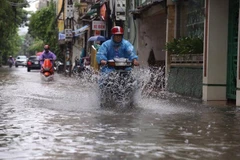 比利时协助河内提升城市内涝预警能力