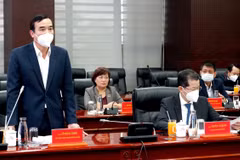  岘港市同BRG和住友集团合作