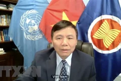 越南与联合国安理会： 越南呼吁缅甸结束暴力并努力寻求适当的解决方案