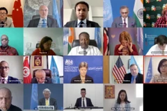 越南呼吁国际社会继续向巴勒斯坦国提供援助
