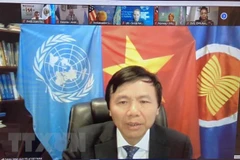 越南与联合国安理会：越南支持将性别层面纳入打击恐怖主义和暴力极端主义各方面