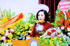 阮氏清女士当选越柬友好协会主席